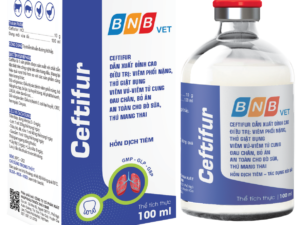 CEFTIFUR 100 ML
