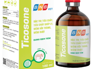TICOSONE 100 ML